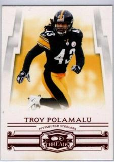 Troy Polamalu