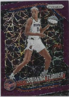 Brianna Turner