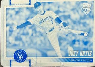 Joey Ortiz