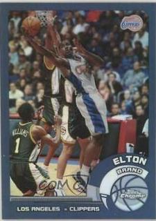 Elton Brand
