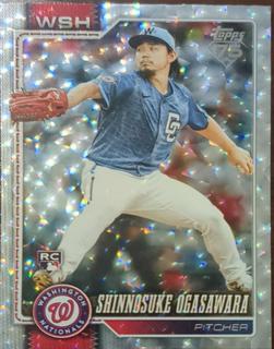 Shinnosuke Ogasawara