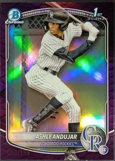 Ashly Andujar
