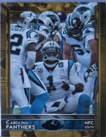 Carolina Panthers [Gold] #244