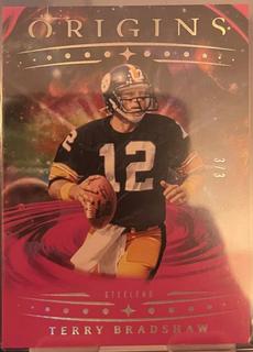 Terry Bradshaw