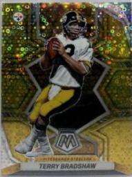 Terry Bradshaw