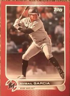 Avisail Garcia