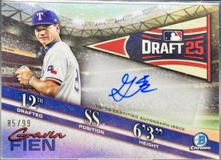 Gavin Fien