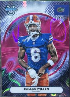 Dallas Wilson