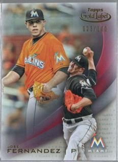 Jose Fernandez