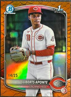 Liberts Aponte
