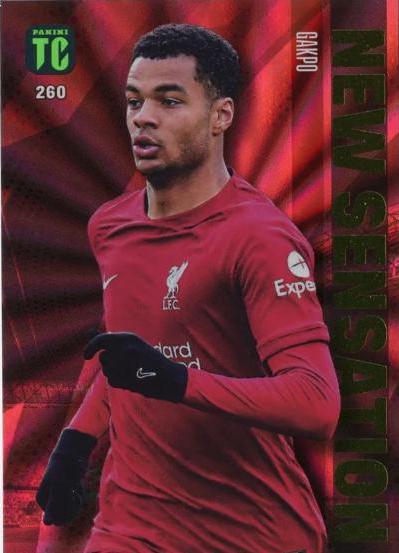 Cody Gakpo #260 Soccer Cards 2023 Panini Top Class