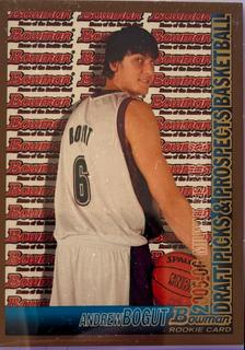 Andrew Bogut