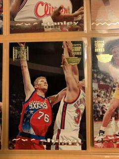 Shawn Bradley