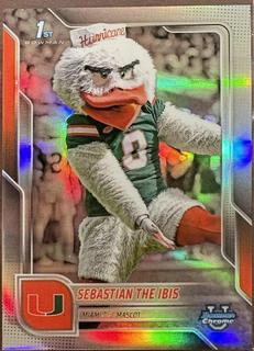 Sebastian The Ibis
