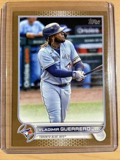 Vladimir Guerrero Jr.