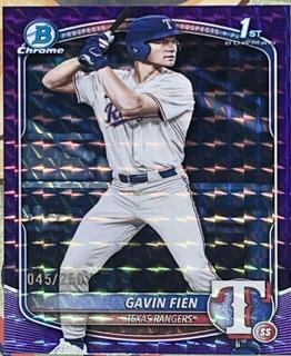 Gavin Fien