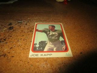 Joe Kapp