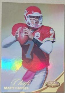 Matt Cassel