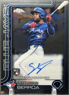 Steward Berroa