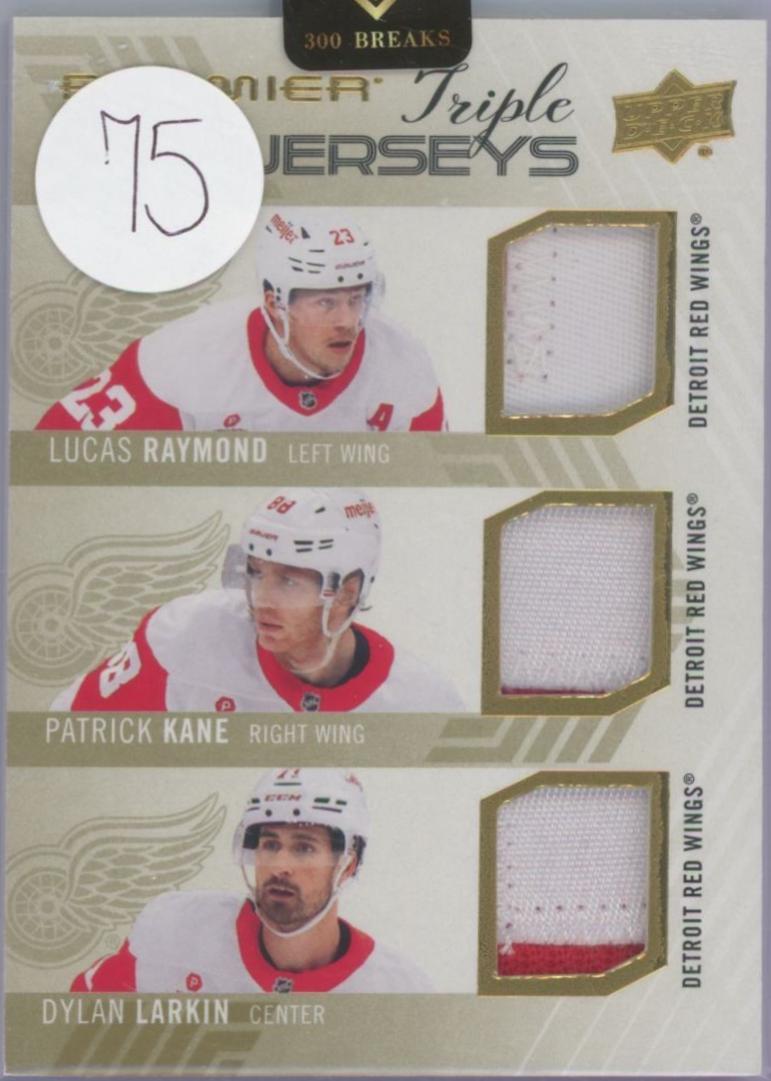 Lucas Raymond / Patrick Kane / Dylan Larkin #PT-RKL