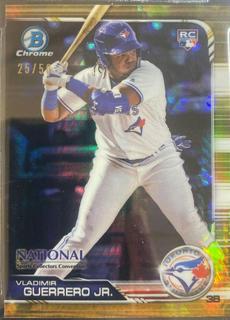 Vladimir Guerrero Jr.
