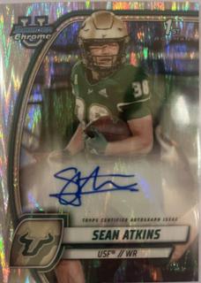 Sean Atkins