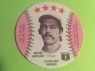Wayne Garland