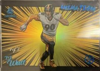 T. J. Watt