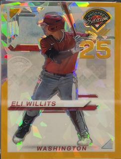 Eli Willits