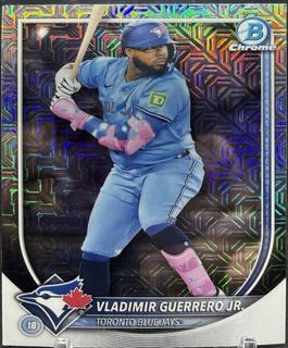 Vladimir Guerrero Jr.