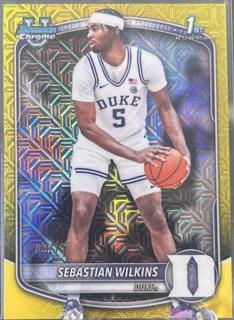 Sebastian Wilkins