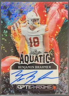 Benjamin Brahmer