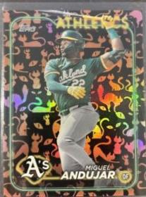 Miguel Andujar