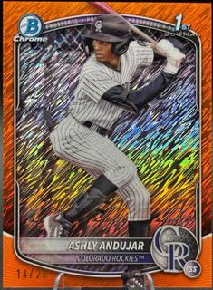 Ashly Andujar