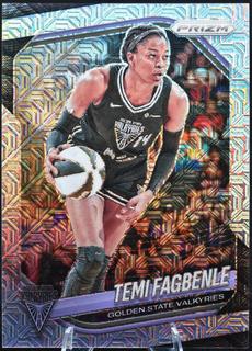 Temi Fagbenle