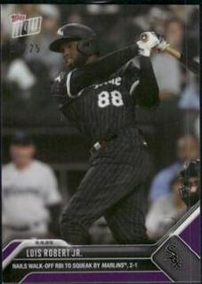 Luis Robert Jr.