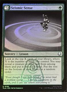 Seismic Sense