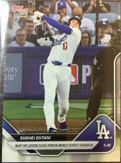 Aaron Judge / Shohei Ohtani