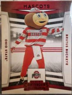 Brutus Buckeye