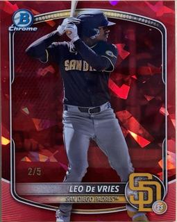 Leo De Vries