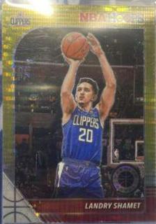 Landry Shamet