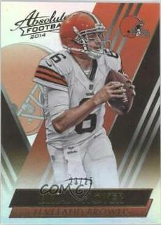 Brian Hoyer