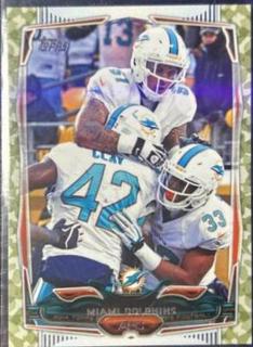 Miami Dolphins