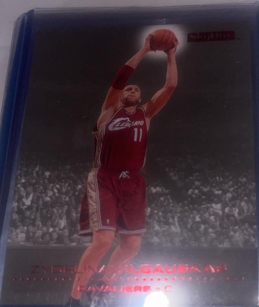 Zydrunas Ilgauskas [Ruby] #25