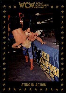 Sting in Action #109 Wrestling Cards 1991 Championship Marketing WCW