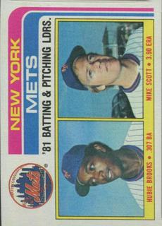 Mets Leaders