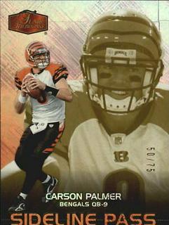 Carson Palmer