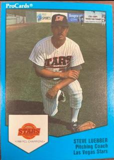 Steve Luebber