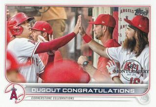 Ohtani / Marsh