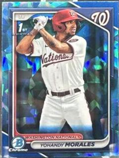 Yohandy Morales